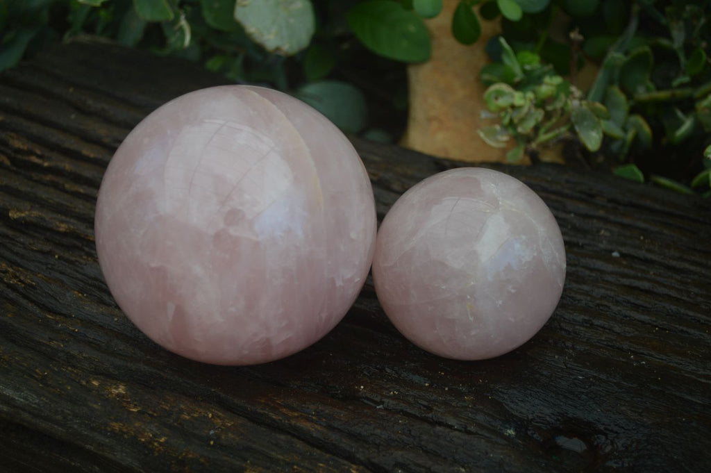 Polished Pink Rose Quartz Spheres  x 2 From Madagascar - Toprock Gemstones and Minerals 