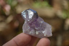 Natural Skeletal Smokey Amethyst Crystals  x 12 From Chiredzi, Zimbabwe - Toprock Gemstones and Minerals 