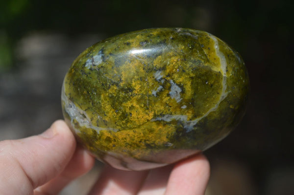 Polished Green Opal Palm Stones  x 12 From Antsirabe, Madagascar - Toprock Gemstones and Minerals 