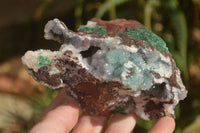 Natural Drusy Coated Ball Malachite On Dolomite Matrix Specimens  x 2 From Likasi, Congo - Toprock Gemstones and Minerals 
