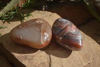Polished Extra Large Strawberry Agate Free Forms  x 2 From KZN, South Africa - Toprock Gemstones and Minerals 