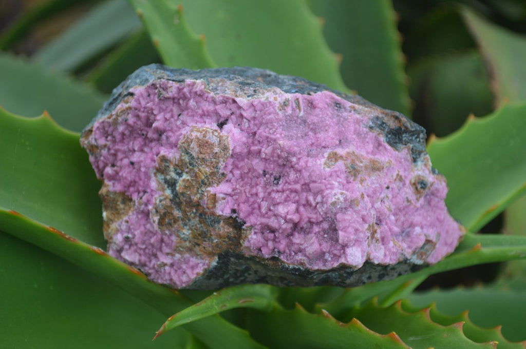 Natural Large Pink Salrose Cobaltion Dolomite Specimens  x 4 From Kakanda, Congo - Toprock Gemstones and Minerals 