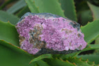 Natural Large Pink Salrose Cobaltion Dolomite Specimens  x 4 From Kakanda, Congo - Toprock Gemstones and Minerals 