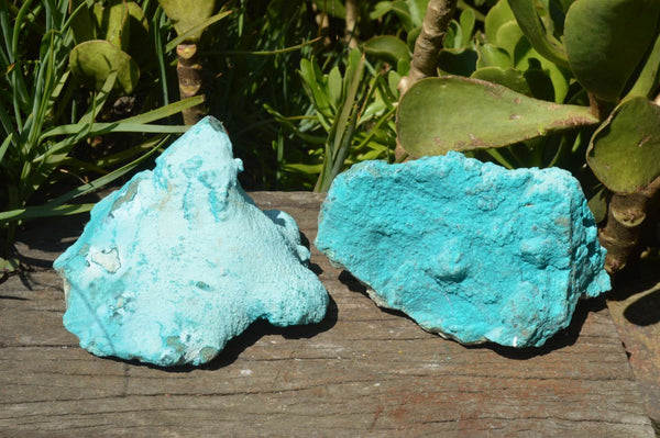 Natural Bright Blue Botryoidal Chrysocolla Specimens x 2 From Lupoto, Congo - TopRock