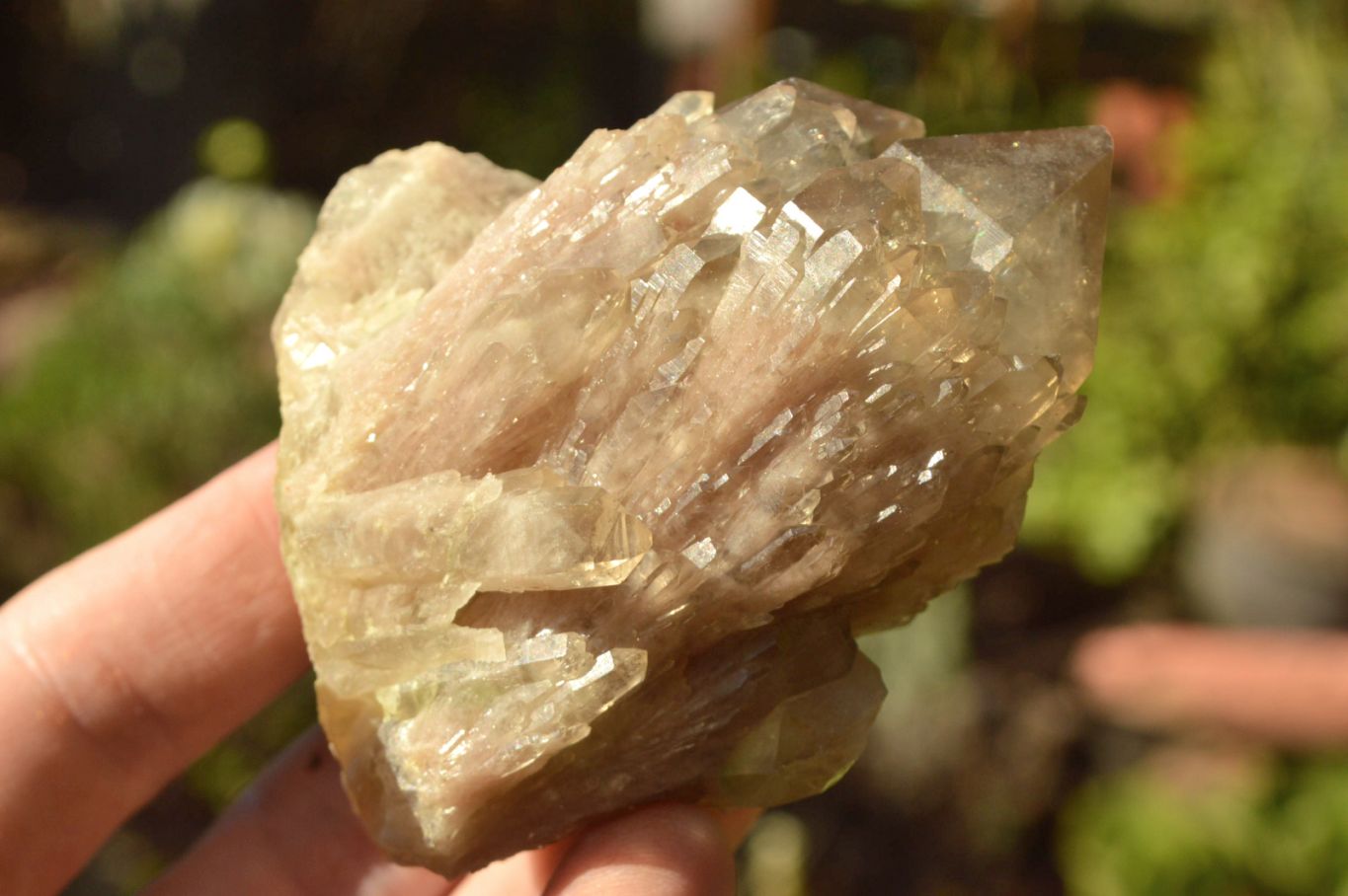 Natural Mixed Selection Of Minerals x 5 From Southern Africa - TopRock