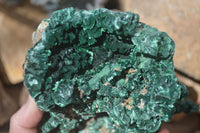 Natural Silky Malachite Specimen  x 1 From Kasompe, Congo - Toprock Gemstones and Minerals 