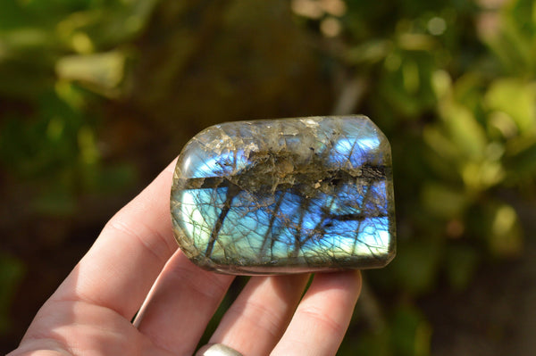 Polished Labradorite Standing Free Forms With Intense Blue Flash  x 2 From Madagascar - TopRock