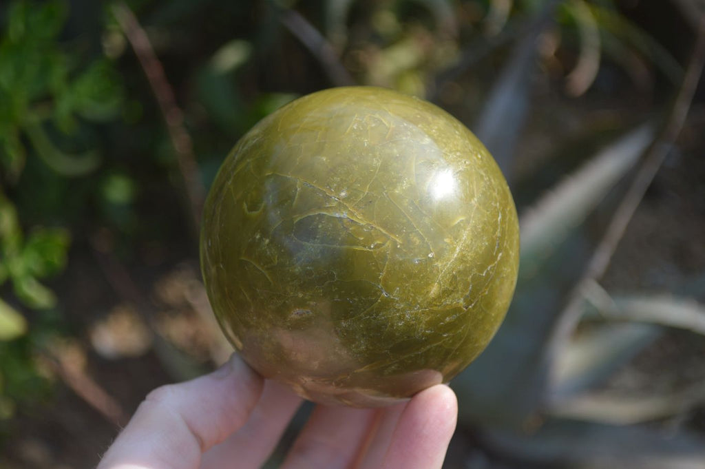 Polished Green Opal Spheres  x 2 From Antsirabe, Madagascar - Toprock Gemstones and Minerals 