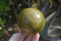Polished Green Opal Spheres  x 2 From Antsirabe, Madagascar - Toprock Gemstones and Minerals 