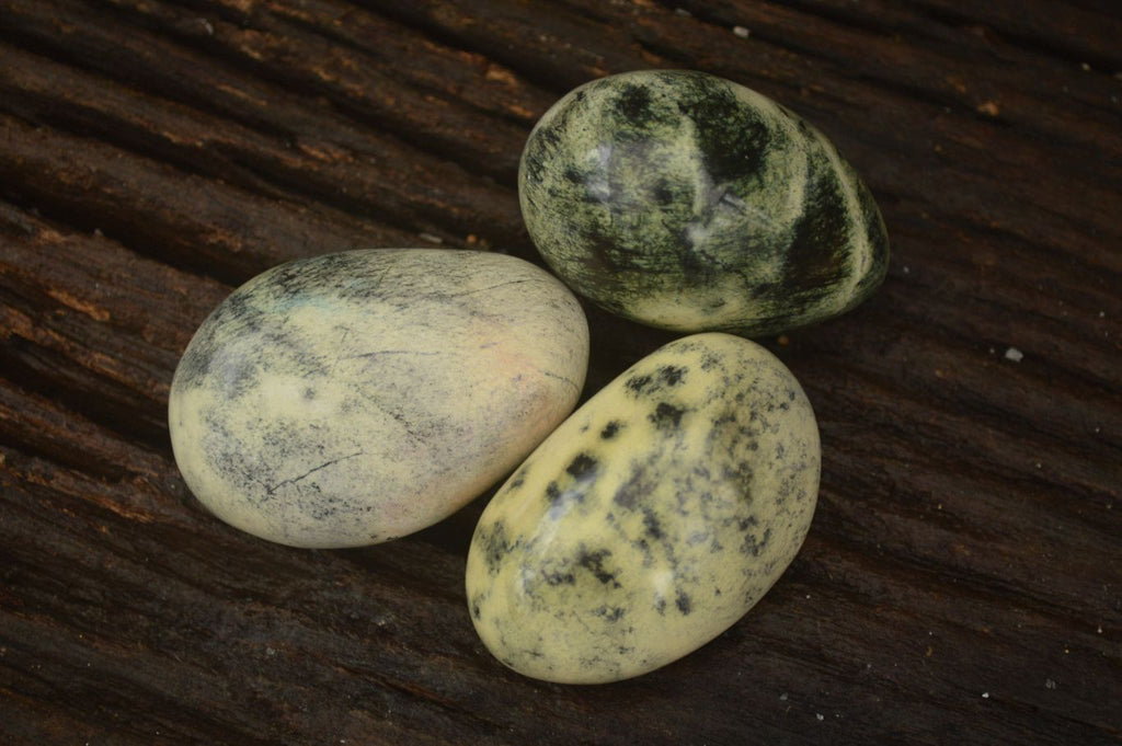 Polished Spotted Leopard Stone Gallets  x 12 From Zimbabwe - Toprock Gemstones and Minerals 