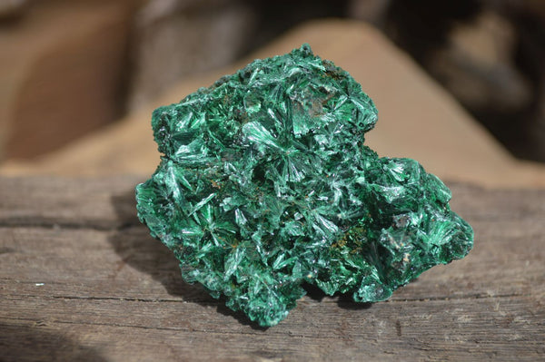 Natural Chatoyant Silky Malachite Specimens  x 7 From Kasompe, Congo - Toprock Gemstones and Minerals 