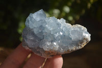 Natural Blue Celestite Crystal Specimens  x 6 From Sakoany, Madagascar - Toprock Gemstones and Minerals 