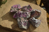 Natural Pink Salrose Cobaltion Dolomite Specimens x 6 From Kakanda, Congo - Toprock Gemstones and Minerals 