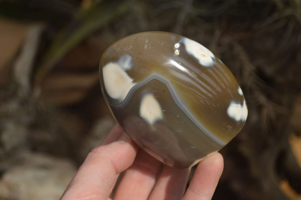 Polished Mixed Agate Standing Free Forms x 6 From West Coast, Madagascar - Toprock Gemstones and Minerals 