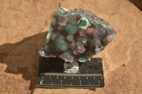 Natural Drusy Coated Ball Malachite On Dolomite Matrix Specimens  x 2 From Likasi, Congo - Toprock Gemstones and Minerals 