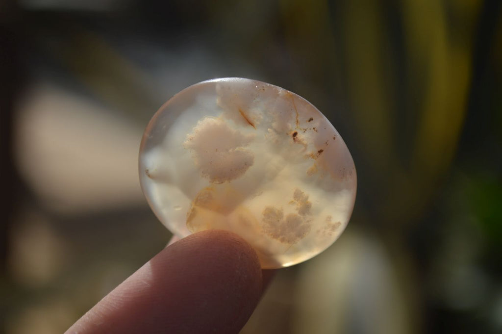 Polished Mini Ocean  Flower Agate Palm Stones  x 70 From Madagascar - Toprock Gemstones and Minerals 