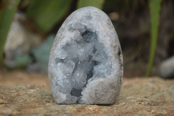 Polished Crystal Centred Blue Celestite Standing Free Forms x 6 From Sakoany, Madagascar - Toprock Gemstones and Minerals 