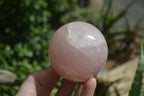 Polished Pink Rose Quartz Spheres  x 2 From Madagascar - Toprock Gemstones and Minerals 