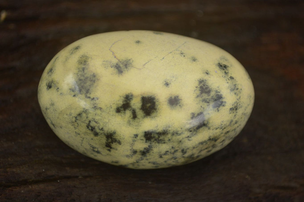 Polished Spotted Leopard Stone Gallets  x 12 From Zimbabwe - Toprock Gemstones and Minerals 