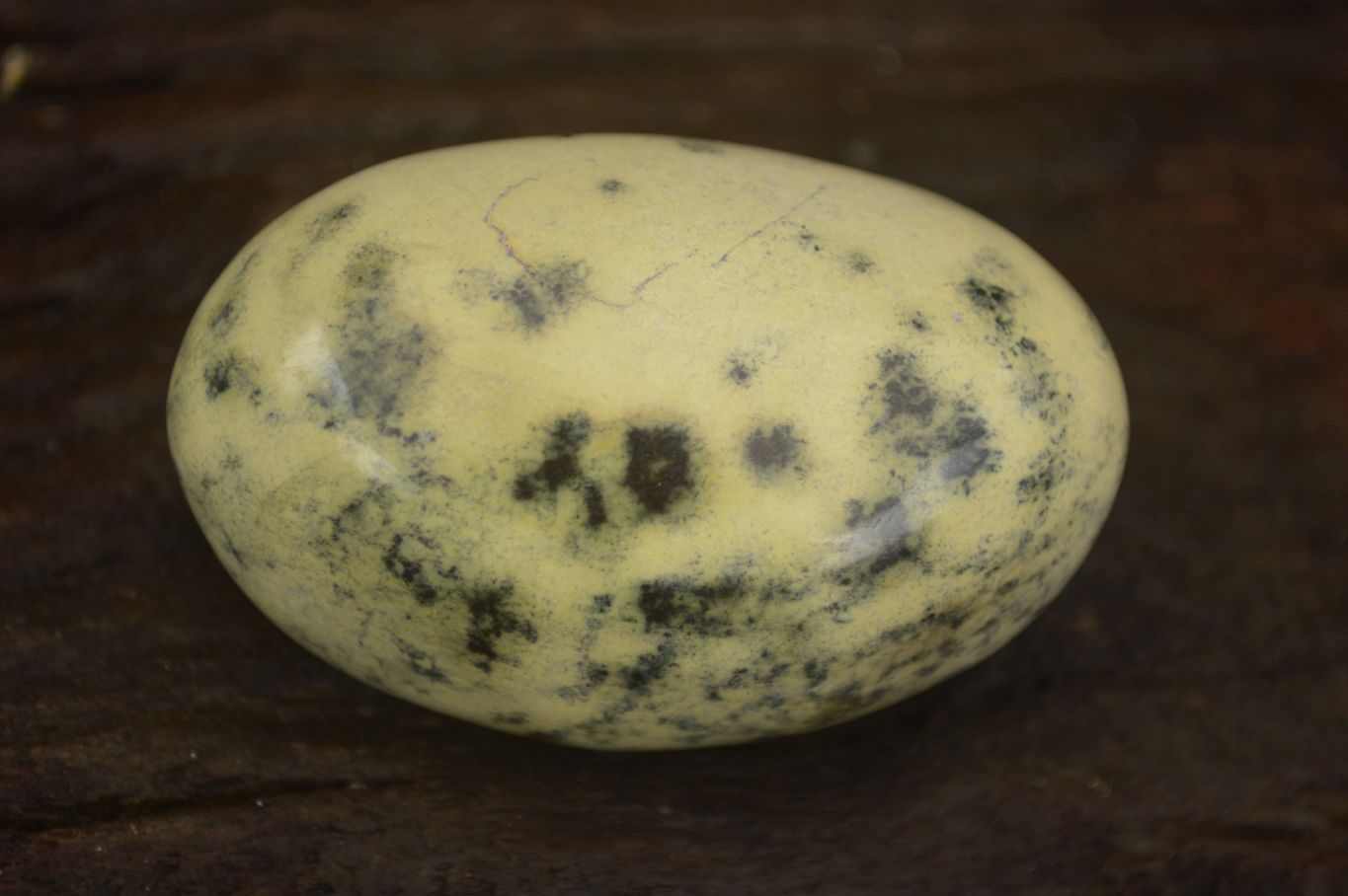 Polished Spotted Leopard Stone Gallets  x 12 From Zimbabwe - Toprock Gemstones and Minerals 