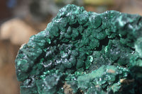 Natural Silky Malachite Specimen  x 1 From Kasompe, Congo - Toprock Gemstones and Minerals 