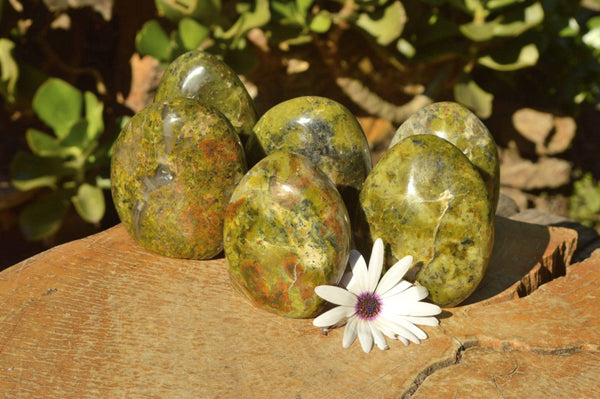 Polished Vibrant Green Opal Standing Free Forms x 6 From Madagascar - TopRock
