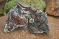 Natural Drusy Coated Ball Malachite On Dolomite Matrix Specimens  x 2 From Likasi, Congo - Toprock Gemstones and Minerals 