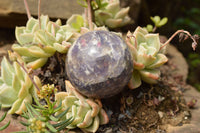Polished Purple Lepidolite Mica Spheres  x 6 From Madagascar - TopRock