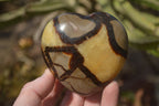 Polished Septerye (Calcite & Aragonite) Hearts x 6 From Mahajanga, Madagascar - Toprock Gemstones and Minerals 