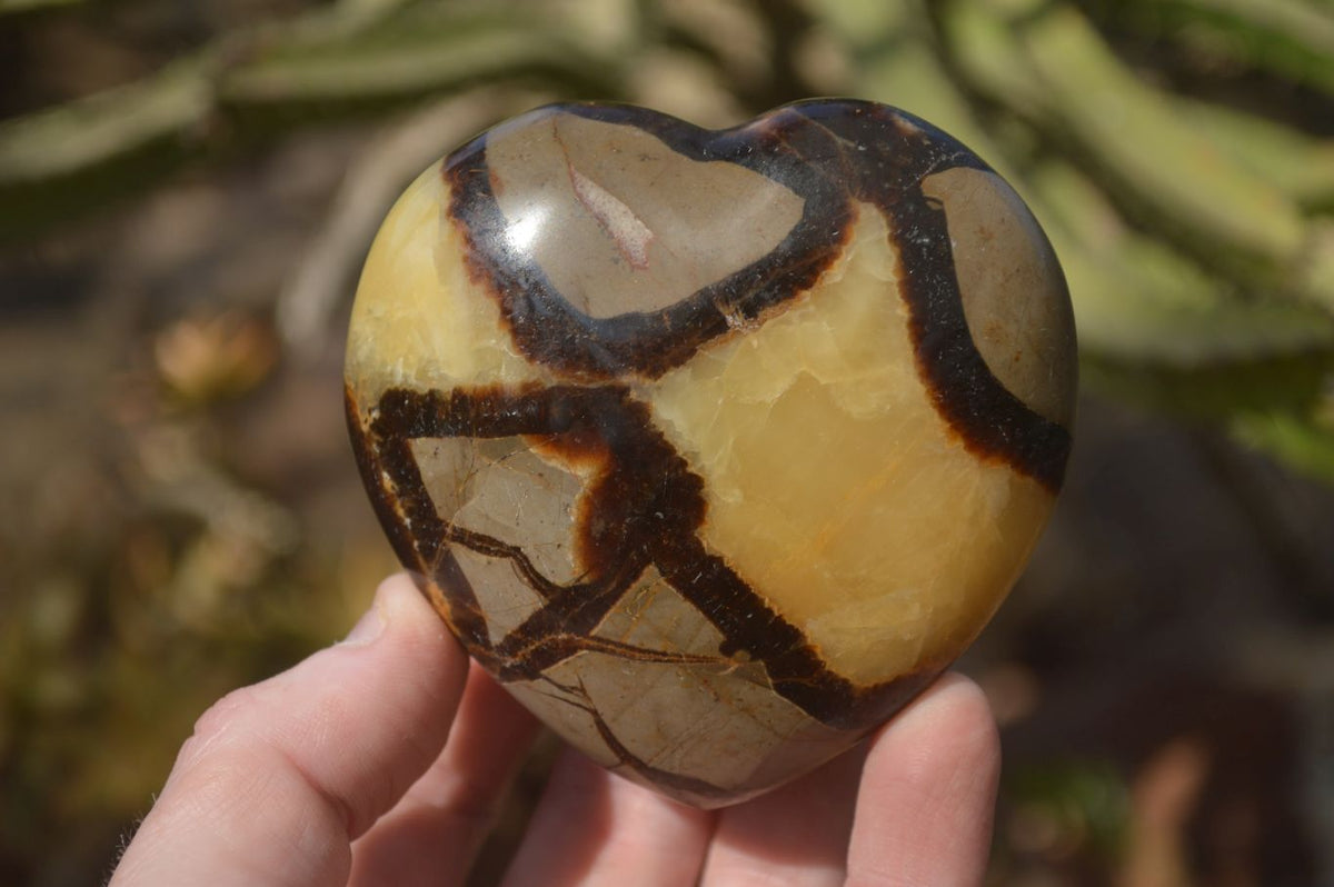 Polished Septerye (Calcite & Aragonite) Hearts x 6 From Mahajanga, Madagascar - Toprock Gemstones and Minerals 