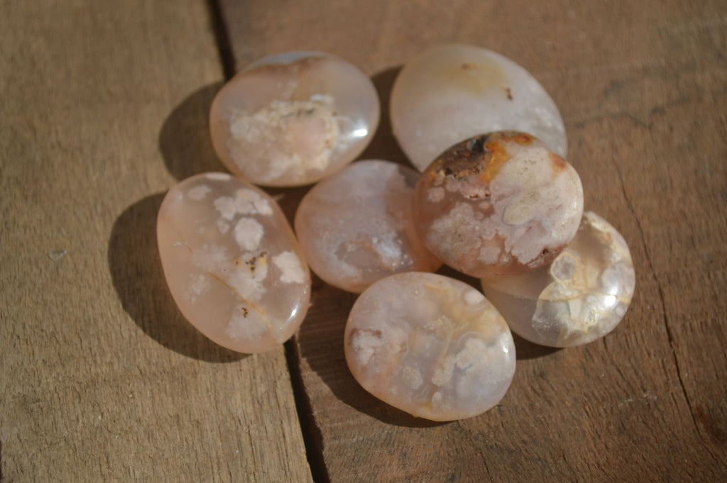 Polished Mini Ocean  Flower Agate Palm Stones  x 70 From Madagascar - Toprock Gemstones and Minerals 