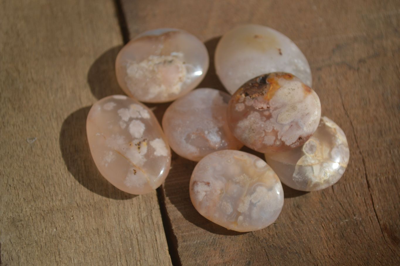 Polished Mini Ocean  Flower Agate Palm Stones  x 70 From Madagascar - Toprock Gemstones and Minerals 