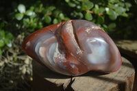 Polished Extra Large Strawberry Agate Free Forms  x 2 From KZN, South Africa - Toprock Gemstones and Minerals 