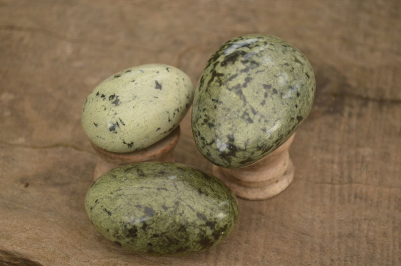 Polished Spotted Leopard Stone Gallets  x 12 From Zimbabwe - Toprock Gemstones and Minerals 