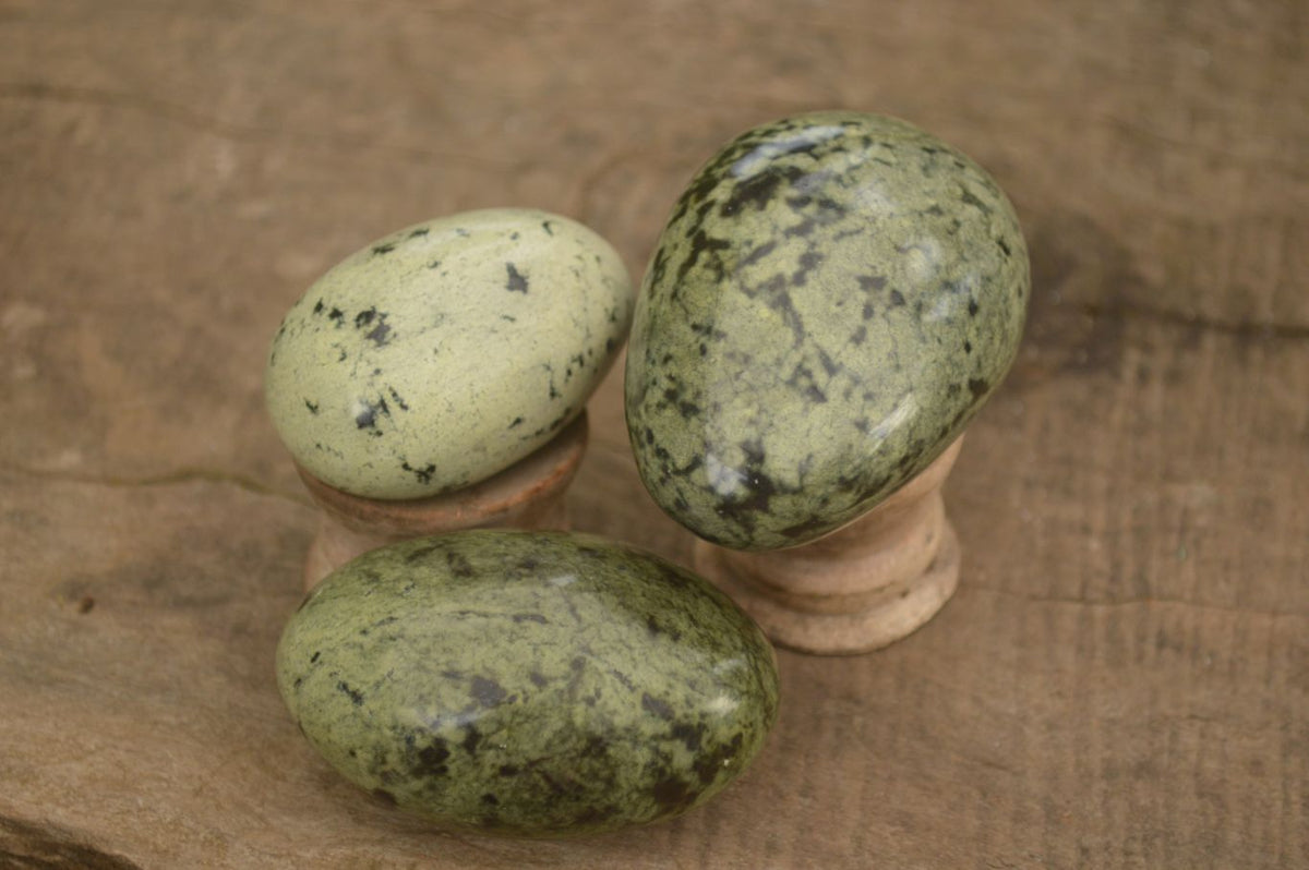 Polished Spotted Leopard Stone Gallets  x 12 From Zimbabwe - Toprock Gemstones and Minerals 