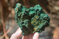 Natural Chatoyant Silky Malachite Specimens  x 7 From Kasompe, Congo - Toprock Gemstones and Minerals 