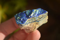 Natural Azurite & Malachite On Dolomite Specimens  x 24 From Kaokoveld, Namibia - Toprock Gemstones and Minerals 