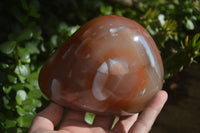 Polished Extra Large Strawberry Agate Free Forms  x 2 From KZN, South Africa - Toprock Gemstones and Minerals 