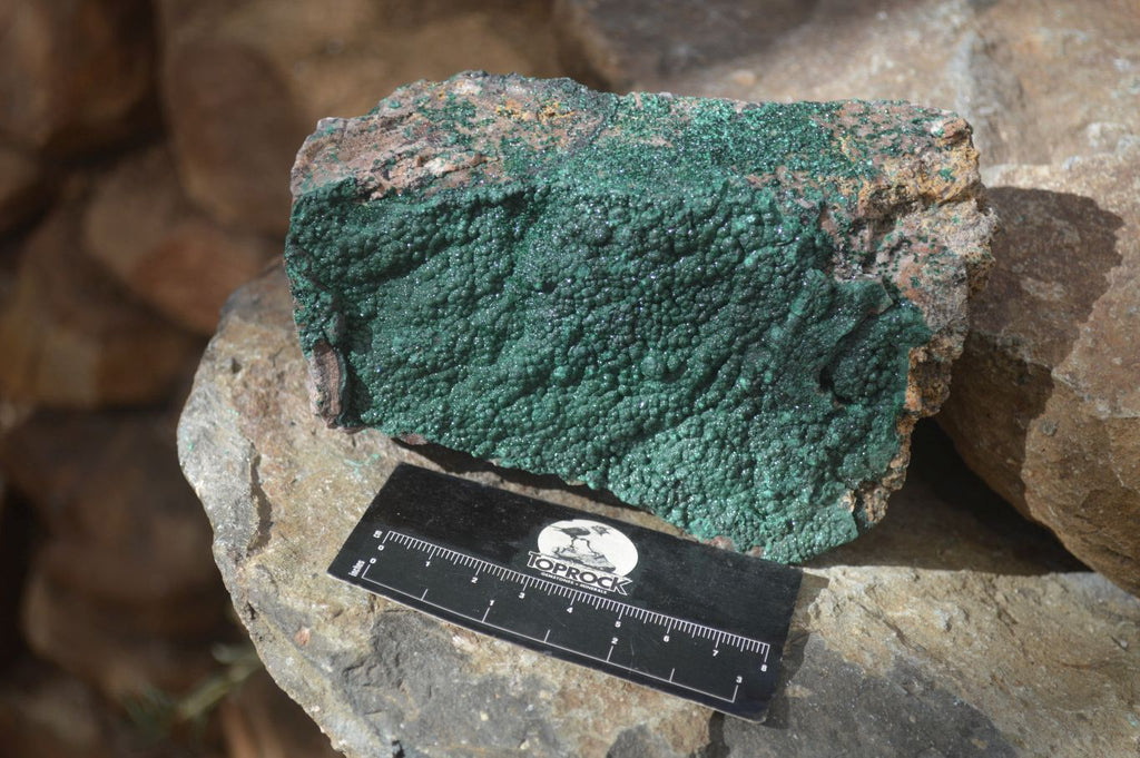 Natural Micro Botryoidal Crystalline Malachite Specimen x 1 From Congo - Toprock Gemstones and Minerals 