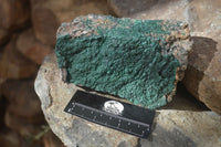 Natural Micro Botryoidal Crystalline Malachite Specimen x 1 From Congo - Toprock Gemstones and Minerals 