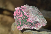 Natural Pink Salrose Cobaltion Dolomite Specimens x 6 From Kakanda, Congo - Toprock Gemstones and Minerals 