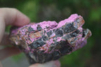 Natural Large Pink Salrose Cobaltion Dolomite Specimens  x 4 From Kakanda, Congo - Toprock Gemstones and Minerals 