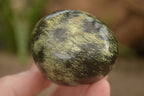 Polished Spotted Leopard Stone Gallets  x 12 From Zimbabwe - Toprock Gemstones and Minerals 