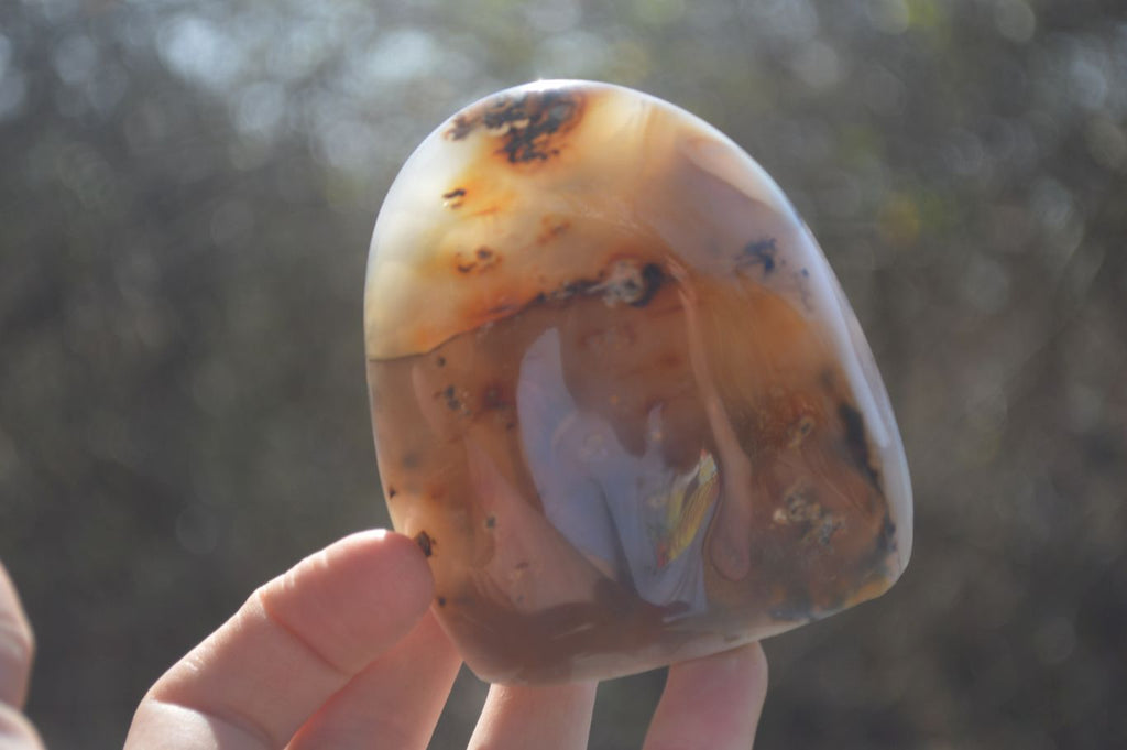 Polished Mixed Agate Standing Free Forms x 6 From West Coast, Madagascar - Toprock Gemstones and Minerals 