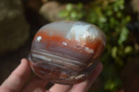 Polished Extra Large Strawberry Agate Free Forms  x 2 From KZN, South Africa - Toprock Gemstones and Minerals 