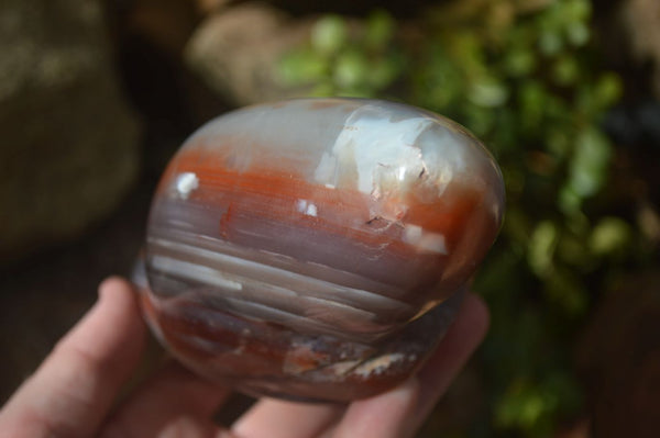Polished Extra Large Strawberry Agate Free Forms  x 2 From KZN, South Africa - Toprock Gemstones and Minerals 