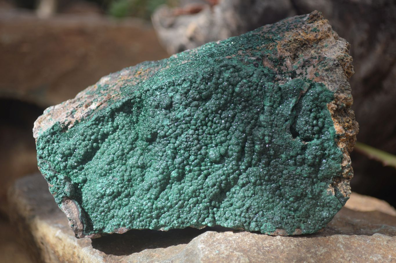 Natural Micro Botryoidal Crystalline Malachite Specimen x 1 From Congo - Toprock Gemstones and Minerals 