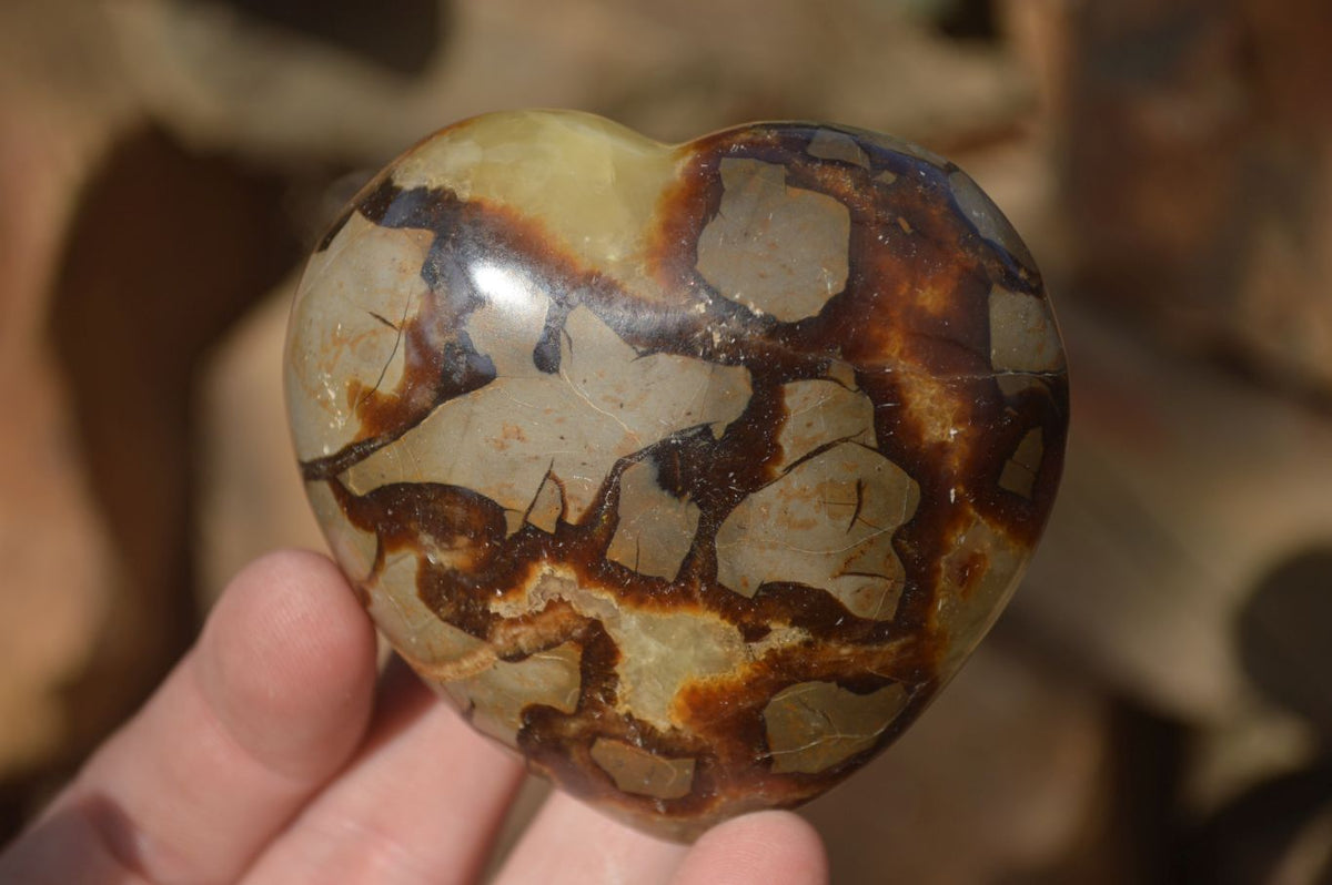Polished Septerye (Calcite & Aragonite) Hearts x 6 From Mahajanga, Madagascar - Toprock Gemstones and Minerals 