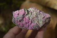 Natural Pink Salrose Cobaltion Dolomite Specimens x 6 From Kakanda, Congo - Toprock Gemstones and Minerals 