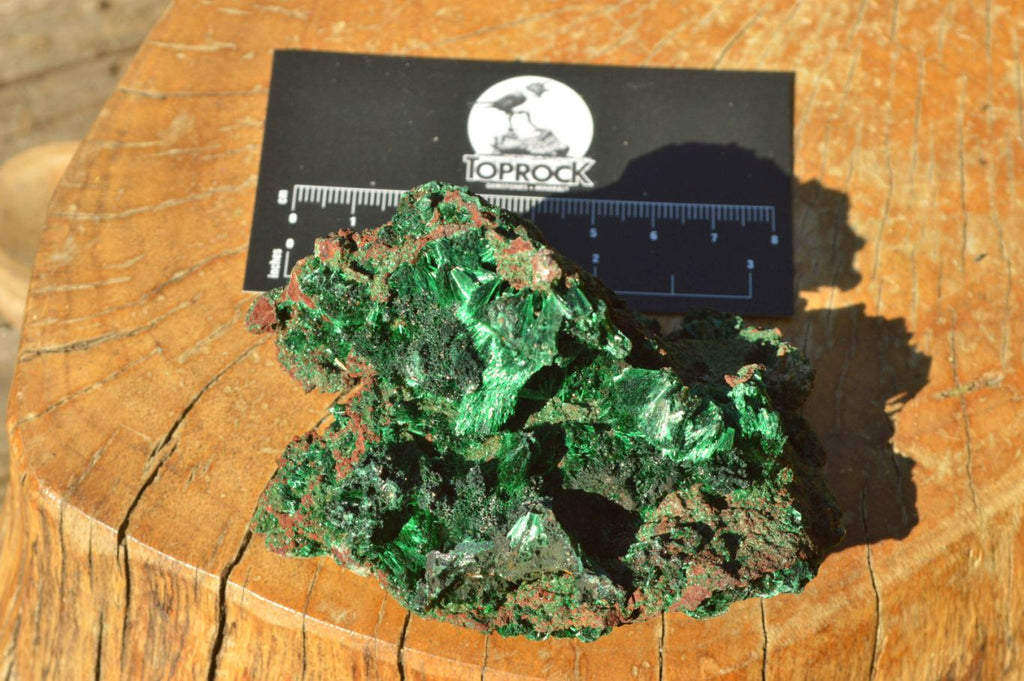 Natural Mixed Selection Of Minerals x 5 From Southern Africa - TopRock